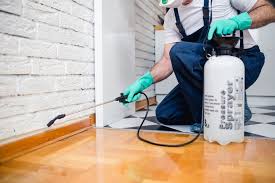 Best Real Estate Pest Inspections  in Tonawanda, NY